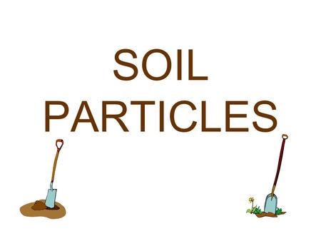 SOIL PARTICLES Soil provides support and nutrients for plant growth.