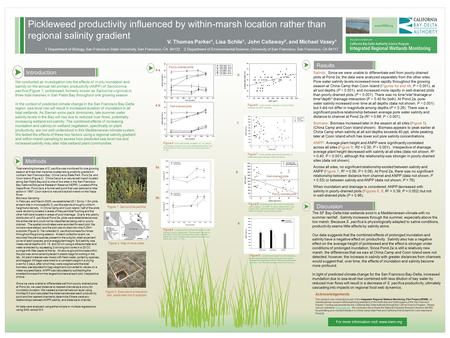 Pickleweed productivity influenced by within-marsh location rather than regional salinity gradient Results We conducted an investigation into the effects.