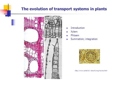 The evolution of transport systems in plants