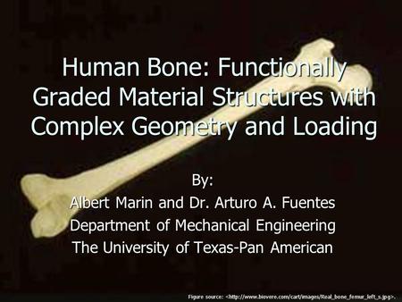 Human Bone: Functionally Graded Material Structures with Complex Geometry and Loading By: Albert Marin and Dr. Arturo A. Fuentes Department of Mechanical.