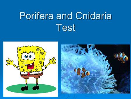 Porifera and Cnidaria Test