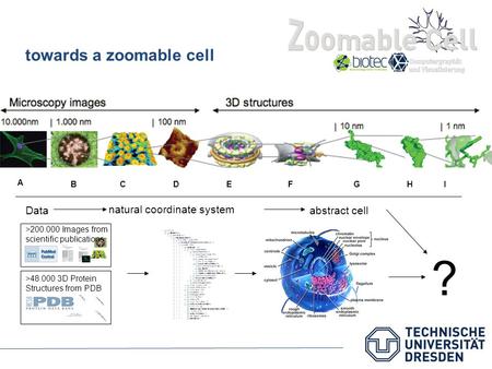 Towards a zoomable cell abstract cell natural coordinate system Data >48.000 3D Protein Structures from PDB ? A IHGFBCDE >200.000 Images from scientific.