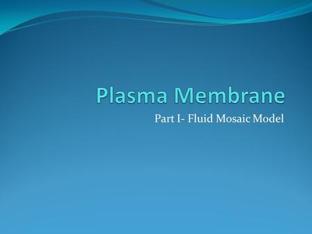 Part I- Fluid Mosaic Model. Phospholipid Bilayer Held together by the hydrophobic effect. Phospholipids and the bilayer they create are amphipathic- they.