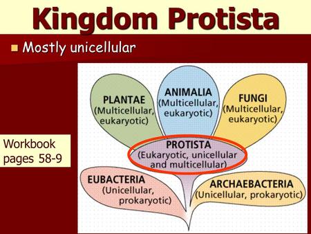 Kingdom Protista Mostly unicellular Mostly unicellular Workbook pages 58-9.