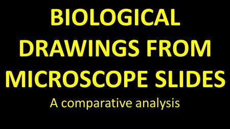 BIOLOGICAL DRAWINGS FROM MICROSCOPE SLIDES A comparative analysis.