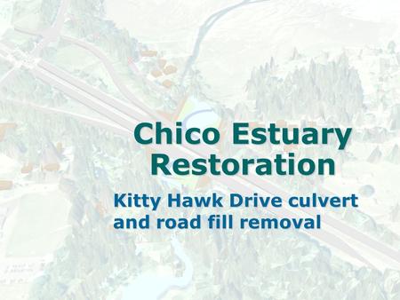 Chico Estuary Restoration Kitty Hawk Drive culvert and road fill removal.