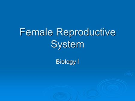 Female Reproductive System