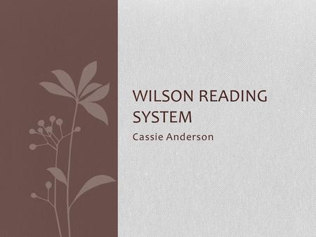 Cassie Anderson WILSON READING SYSTEM. Background Barbra A. Wilson Special Education teacher Chairperson for I.E.P. meetings Noticed special ed. students.