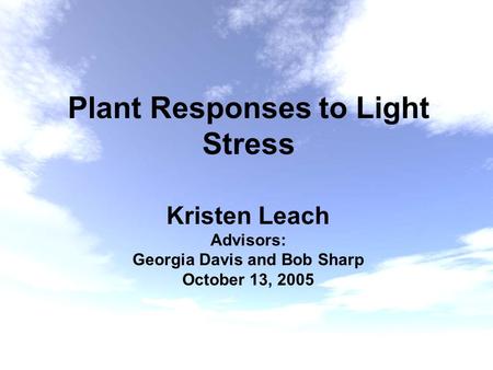 Plant Responses to Light Stress Kristen Leach Advisors: Georgia Davis and Bob Sharp October 13, 2005.