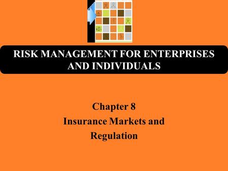 RISK MANAGEMENT FOR ENTERPRISES AND INDIVIDUALS Chapter 8 Insurance Markets and Regulation.