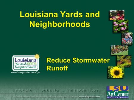 Louisiana Yards and Neighborhoods Reduce Stormwater Runoff www.lsuagcenter.com/lyn.