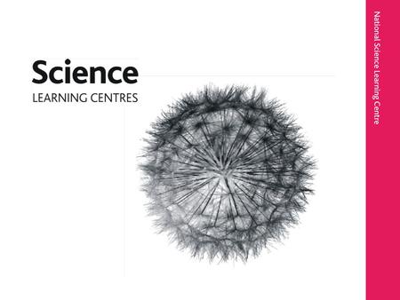 Professor Mary Ratcliffe Associate Director, National Science Learning Centre University of York, UK Use of research evidence by.