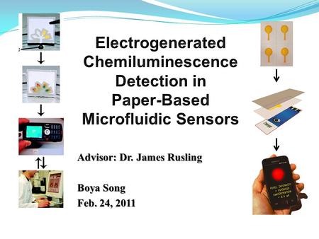 Advisor: Dr. James Rusling Boya Song Feb. 24, 2011.