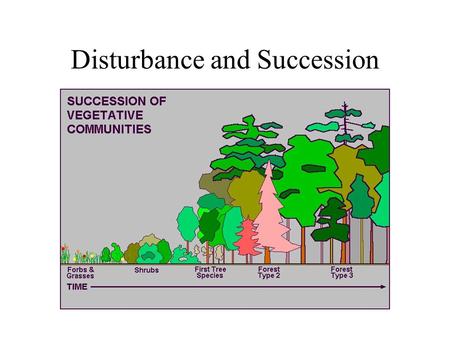 Disturbance and Succession. Intermediate Disturbance Hypothesis Disturbance maintains communities in a non-equilibrium state (never reach equilibrium)