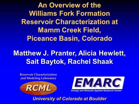 Williams Fork Formation Reservoir Characterization at