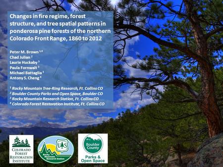 Changes in fire regime, forest structure, and tree spatial patterns in ponderosa pine forests of the northern Colorado Front Range, 1860 to 2012 Peter.