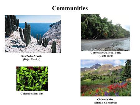 Communities San Pedro Martir (Baja, Mexico) Chilcotin Mts (British Columbia) Colorado farm dirt Corcovado National Park (Costa Rica)