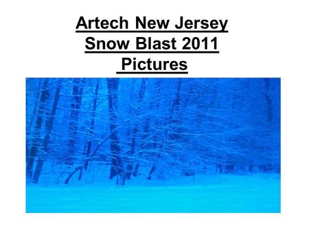 Artech New Jersey Snow Blast 2011 Pictures. Should I go to Work Today?