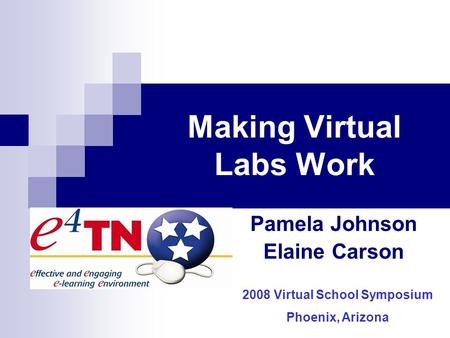 Making Virtual Labs Work Pamela Johnson Elaine Carson 2008 Virtual School Symposium Phoenix, Arizona.