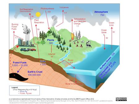 Soil Respiration (Decomposition) Photosynthesis Burning Fossil Fuels 7.7 Plant Respiration 59 120 Volcanoes 0.1 Plants 560 Litterfall 59 Rivers 0.8 Deforestation.