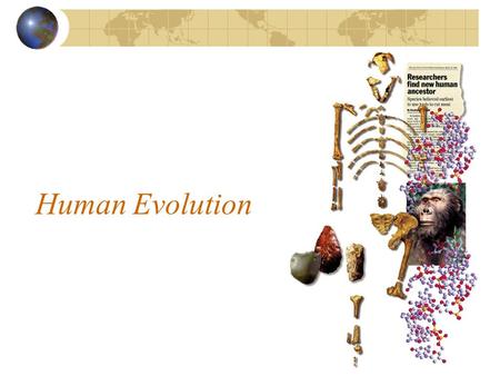 Human Evolution.