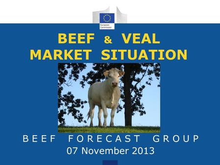 BEEF & VEAL MARKET SITUATION B E E F F O R E C A S T G R O U P 07 November 2013.