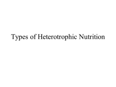 Types of Heterotrophic Nutrition