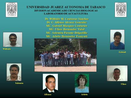 UNIVERSIDAD JUAREZ AUTONOMA DE TABASCO DIVISION ACADEMICA DE CIENCIAS BIOLOGICAS LABORATORIO DE ACUACULTURA Dr. Wilfrido M. Contreras Sánchez Dr. C. Alfonso.