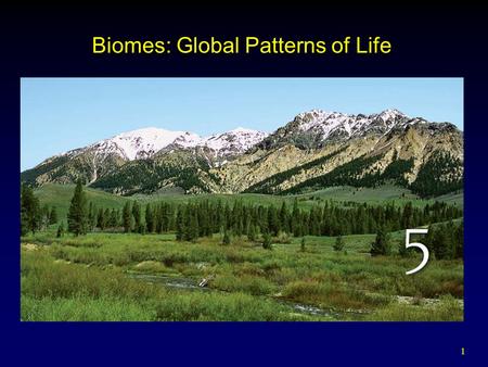 Biomes: Global Patterns of Life