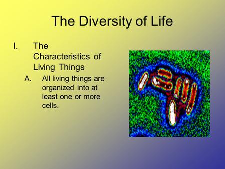 The Diversity of Life I.The Characteristics of Living Things A.All living things are organized into at least one or more cells.