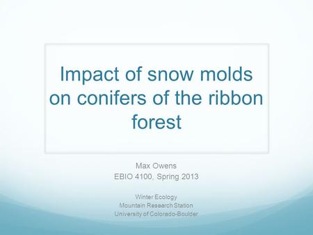 Impact of snow molds on conifers of the ribbon forest Max Owens EBIO 4100, Spring 2013 Winter Ecology Mountain Research Station University of Colorado-Boulder.