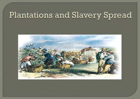 Eli Whitney – Inventor of the Cotton Gin. Who? Eli Whitney When? 1793 Why? Wanted to make work easier for slaves and it sped up the process of cleaning.