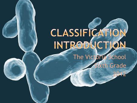 The Victoria School Sixth Grade 2012.  The classification of organisms in an ordered system that indicates natural relationships.