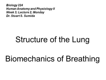 Biology 224 Human Anatomy and Physiology II Week 3; Lecture 2; Monday Dr. Stuart S. Sumida Structure of the Lung Biomechanics of Breathing.