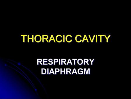 RESPIRATORY DIAPHRAGM