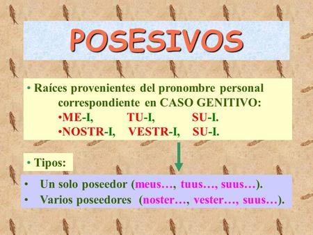 POSESIVOS Raíces provenientes del pronombre personal correspondiente en CASO GENITIVO: ME-I, TU-I, SU-I. NOSTR-I, VESTR-I, SU-I. Tipos: Un solo poseedor.