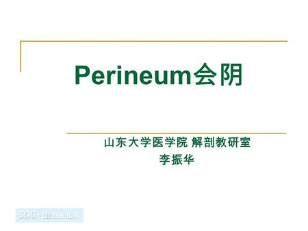 Perineum会阴 山东大学医学院 解剖教研室 李振华.