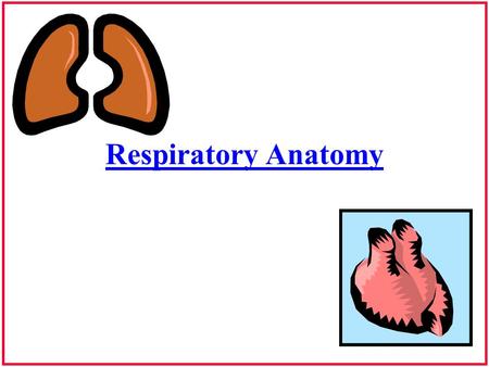 Respiratory Anatomy.