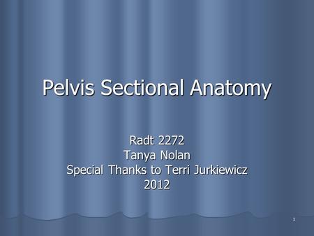 1 Pelvis Sectional Anatomy Radt 2272 Tanya Nolan Special Thanks to Terri Jurkiewicz 2012.