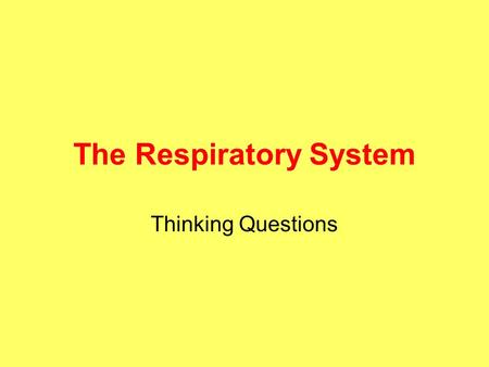 The Respiratory System