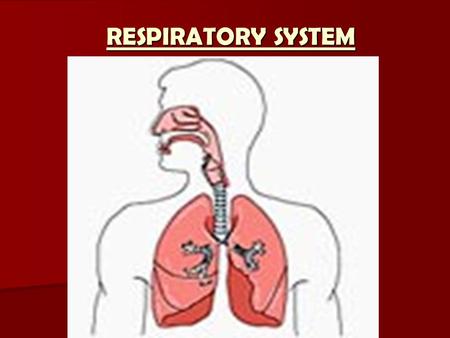 RESPIRATORY SYSTEM.