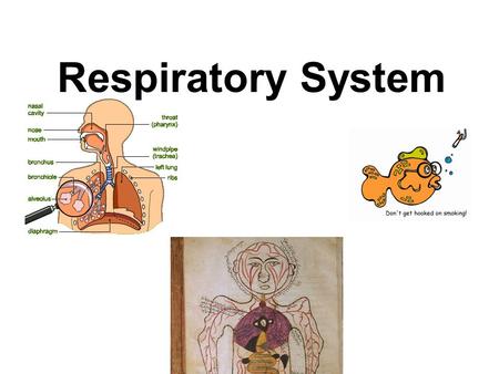 Respiratory System.