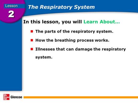 The Respiratory System