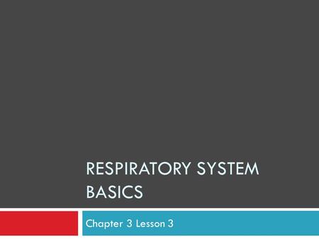 RESPIRATORY SYSTEM BASICS