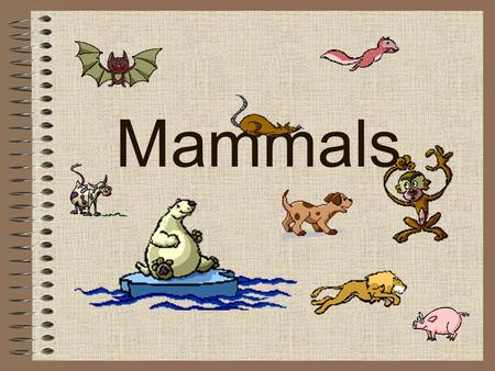 Mammals.