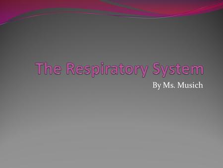 The Respiratory System