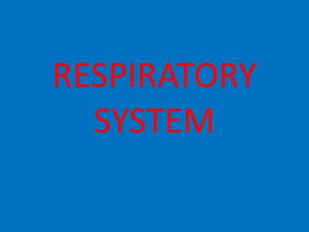 RESPIRATORY SYSTEM.