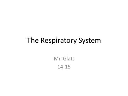 The Respiratory System