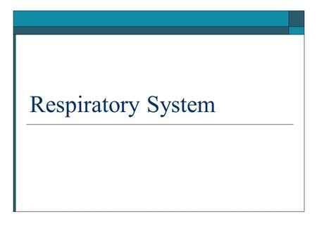 Respiratory System.