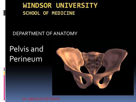 WINDSOR UNIVERSITY SCHOOL OF MEDICINE